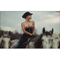 Love Horse Â©_12-y4DDQ2n7RxMx30GFC4UHA9CLSh84eosI.jpg